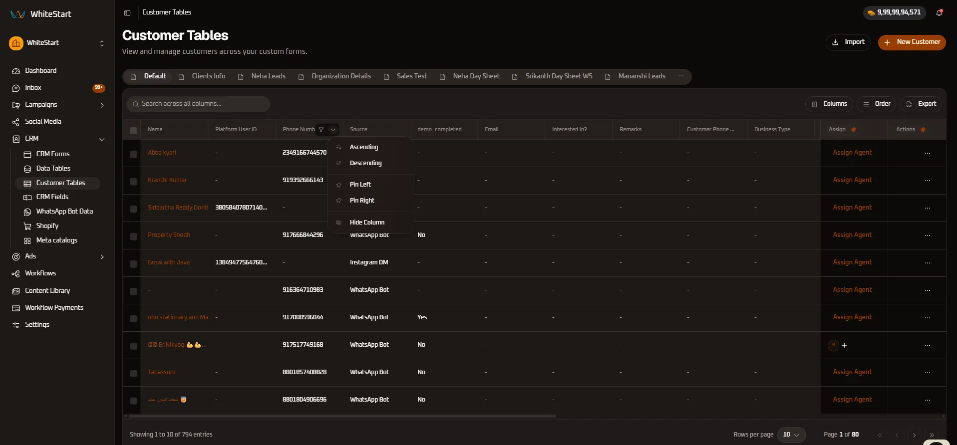 Phone Number Column Controls
